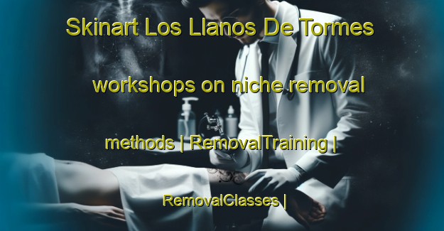 Skinart Los Llanos De Tormes workshops on niche removal methods | RemovalTraining | RemovalClasses | SkinartTraining-Spain